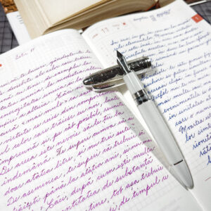 Curs caligrafie cursivă - online - imagine 4