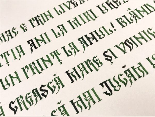 F3B2529D-A372-4990-851B-C7AEAC64751E